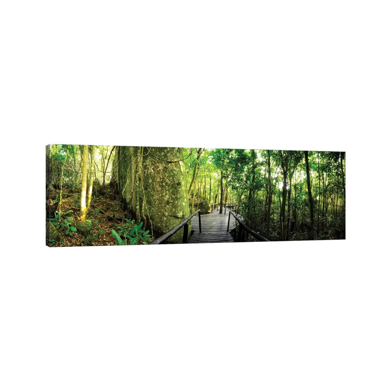Tropical Forest VI by Glauco Meneghelli - Wrapped Canvas Panoramic Print, 121.92 cm H x 40.64 cm W