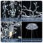 Lustre en cristal 14 lumières à branches à intensité variable pour salle à manger-114217321-126129755