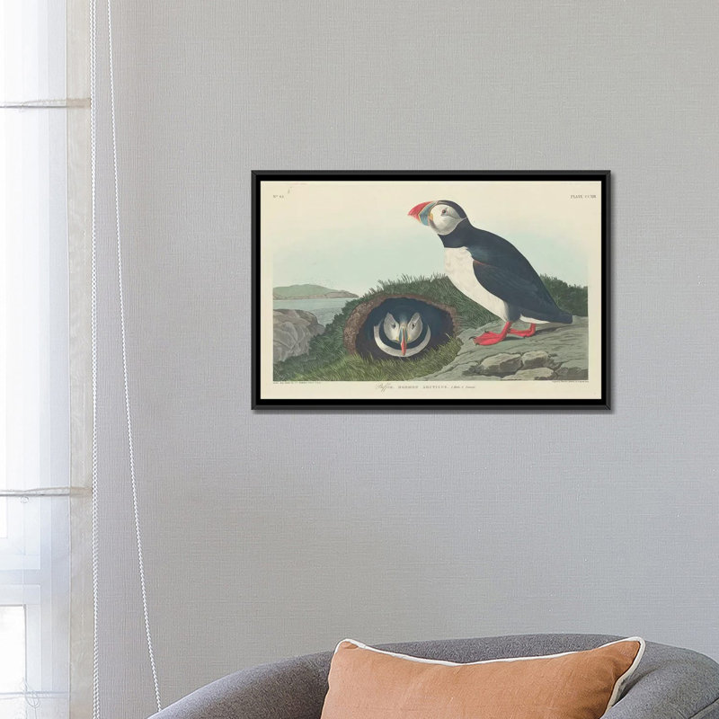 «Puffin», impression sur toile, H 18 po x l 26 po x P 1,5 po, Toile avec cadre noir, Non mat