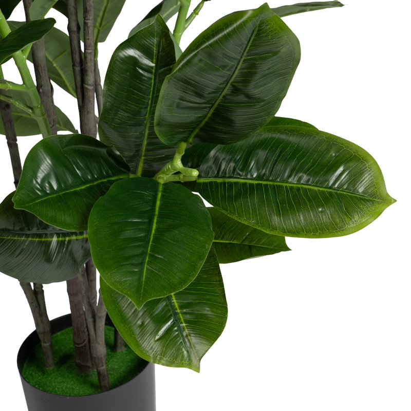 140cm Plant