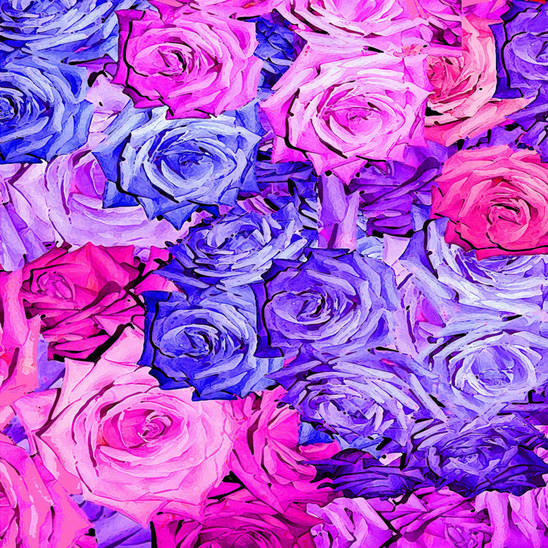 Ensemble de housse de couette pour grand lit DiaNoche en microfibre par Susie Kunzelman - Roses