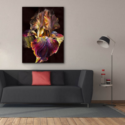 " Iris " by PhotoINC Studio
