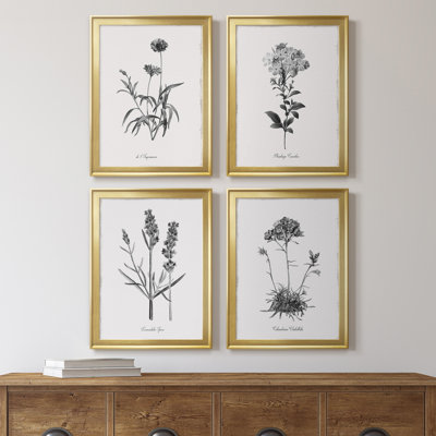 " Simply Imperial " 4 - Pieces