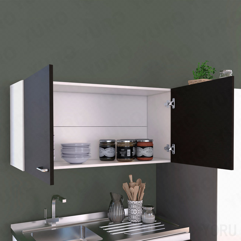 Armoire murale, 2 tablettes, double porte pour la maison - standard