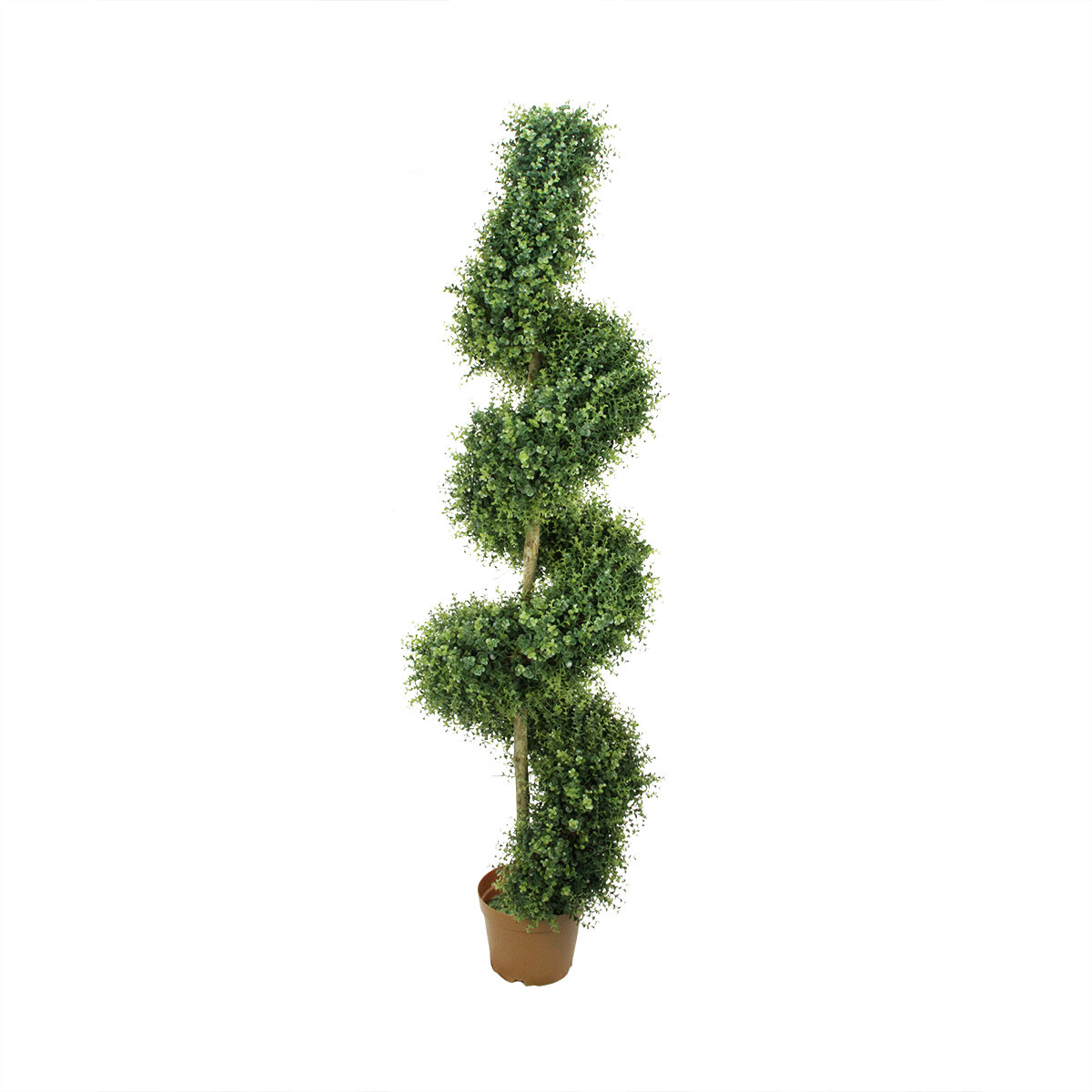 Northlight 6' Potted Two-Tone Artificial Boxwood Spiral Topiary Tree ...