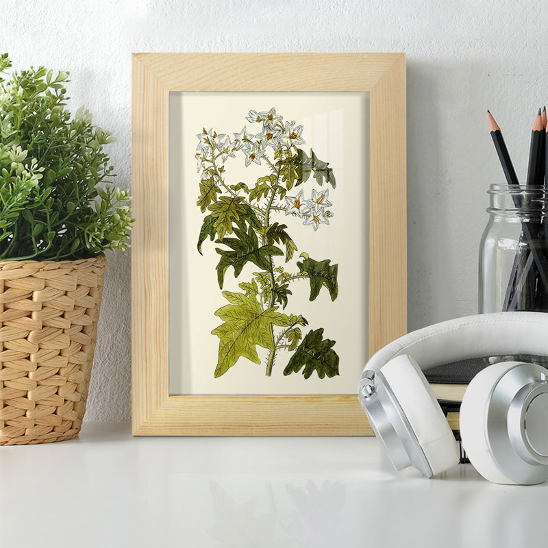 Olive Greenery VI - reproduction d'un seul cadre photo, H 8 po x l 6 po x P 1 po, Naturel