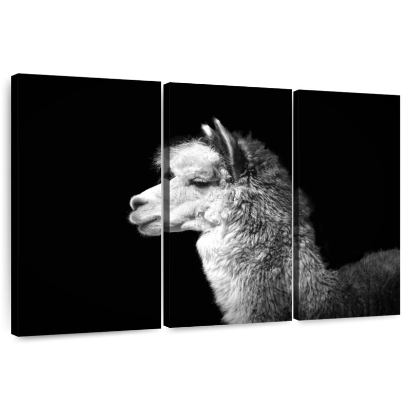 Brampt Noir Llama, 14" H x 23" W