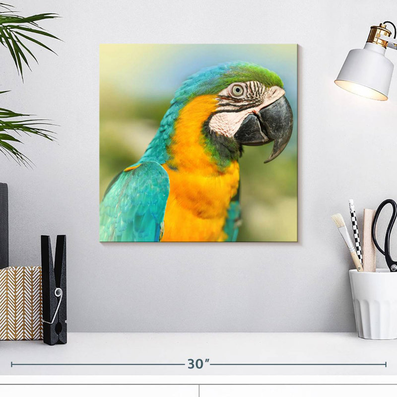 Brampt Parrot, 16" H x 16" W