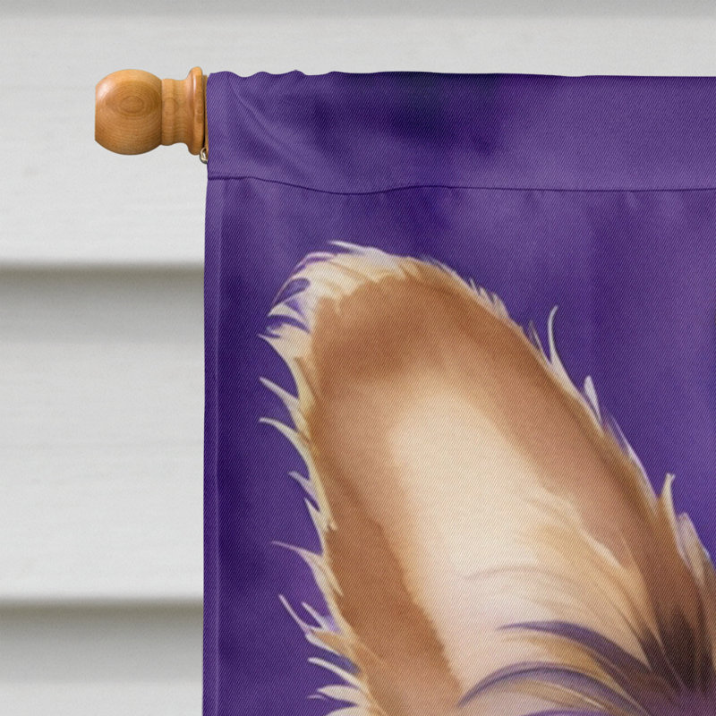 Double Sided 28'' H x 40'' W Polyester Mardi Gras House Flag