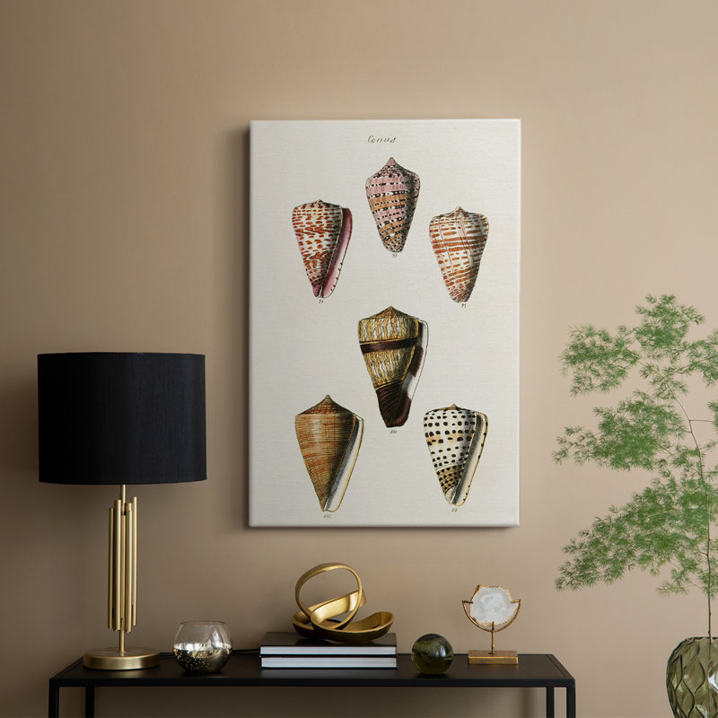 Cone Shell Collection IV -Gallery Wrapped Cavas, 48" H x 32" W