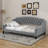 Twin Modern Luxury Tufted Button Daybed-1750419439