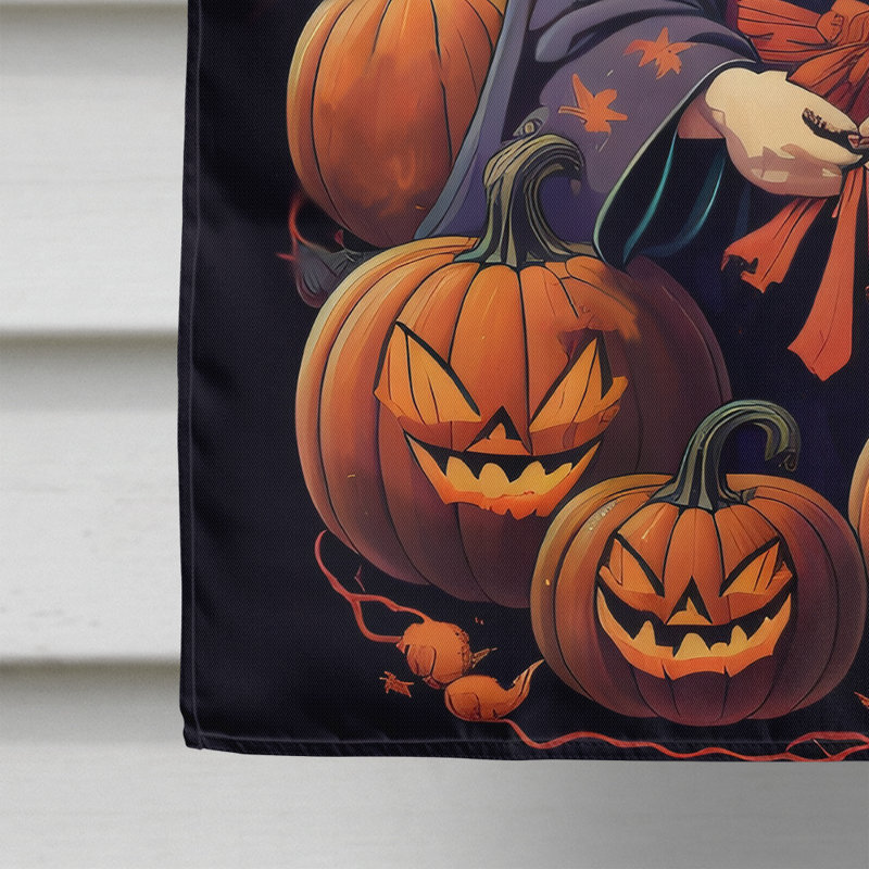 Drapeau japonais de la maison d'Halloween Chin Witchy, 40 po x 28 po