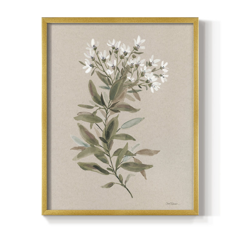 «White Floral Stem I», reproduction encadrée - bois massif, H 30 po x l 24 po, Doré