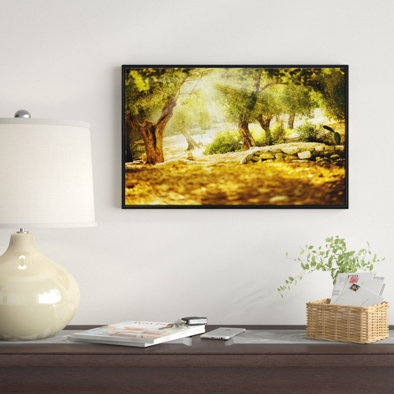 Olive Trees - Floater Frame Print on Canvas, 12" H x 20" W x 1" D