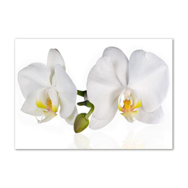 Orchid - Wrapped Canvas Print