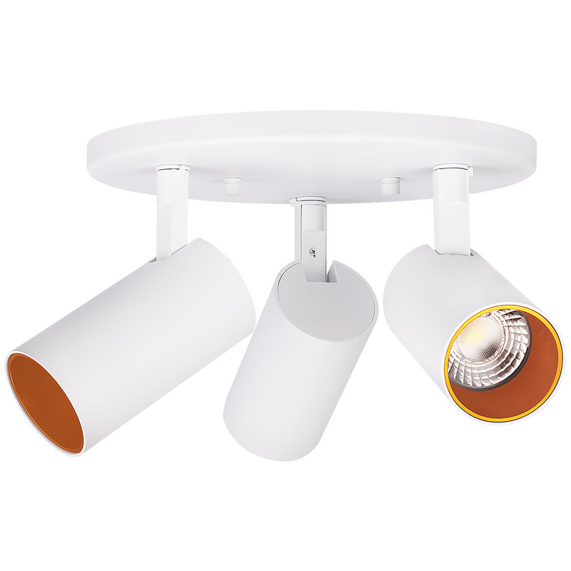 3-Light Adjustable Dimmable LED Ceiling Track Light Spotlights with 5 Color Temperature Settings, White