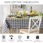 Nappe Rochester