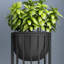 Iron Plant Stand 1 Tier
