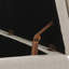 Repose-pieds de style moderne RANGEMENT