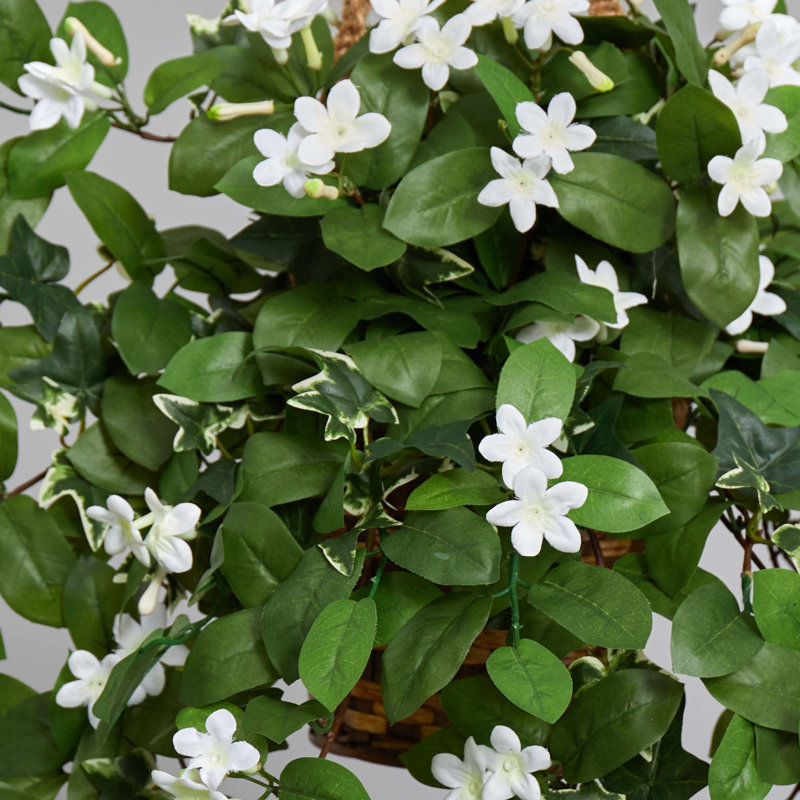 Plante stephanotis artificielle en panier 38"