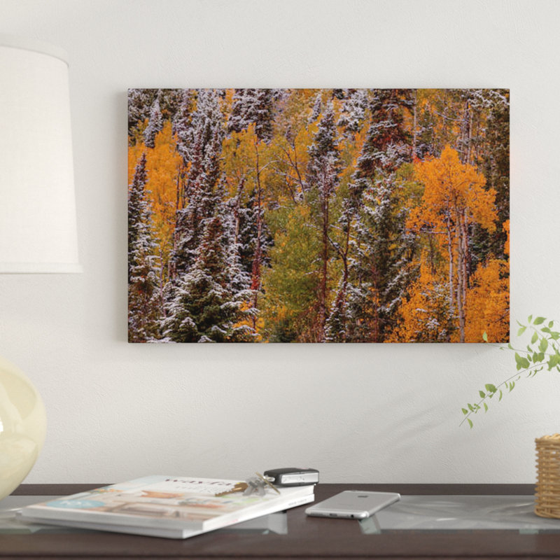 « contrasts » par bill sherrell, reproduction d’impression sur toile tendue, H 18 po x l 26 po x P 1,5 po, Toile tendue