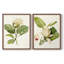 Impression encadrée MagnoliaFlowersI-Premium - prête à être accrochée - aucun clou requis - aucun clou requis-947790166-947790167