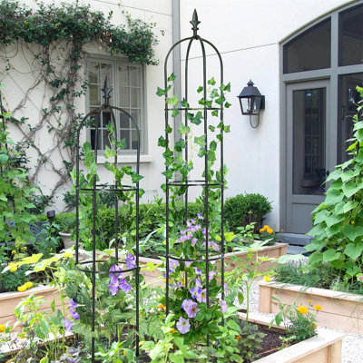 Lacagnia 69.7'' H x 10.2'' W Steel Obelisk Trellis