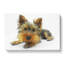 Yorkshire Terrier Dog - Wrapped Canvas-55319852