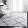 Prager Shag 500 Performance Geometric Rug