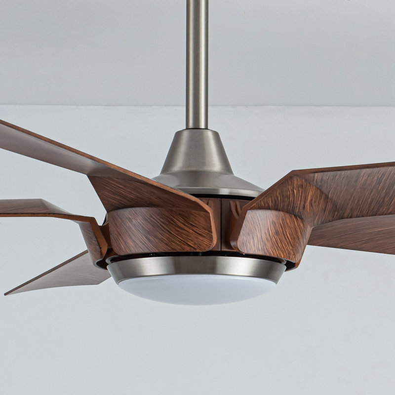 Chantiel 65" 5-Blade Ceiling Fan