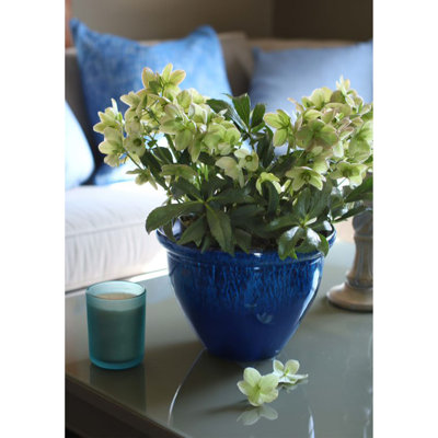 Pot à fleurs en plastique