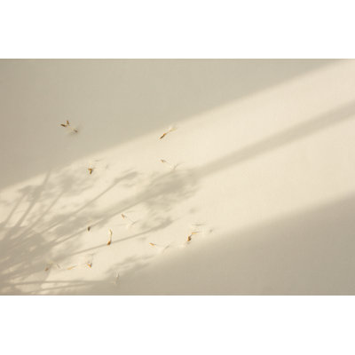 " Dandelion Flowers " by Anna Pismenskova