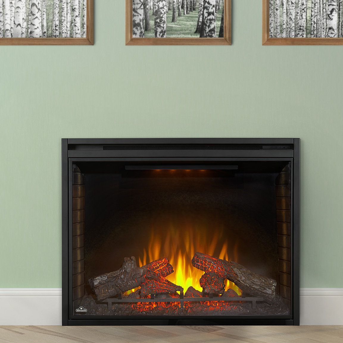 Napoleon Ascent 40.25'' W Electric Fireplace Insert u0026 Reviews | Wayfair