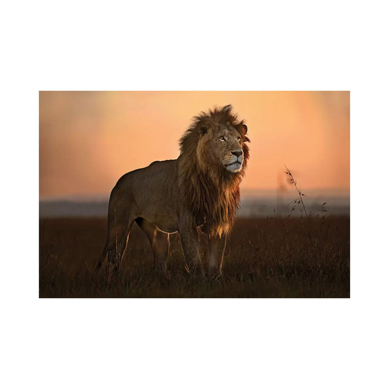 The King In The Morning Light by Xavier Ortega - Wrapped Canvas Print, 66.04 cm H x 45.72 cm W x 1.91 cm D