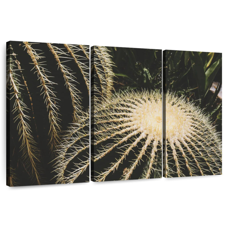 Harnek Barrel Cactus, 20" H x 33" W
