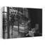 Girafe, impression d'art mural-129714905