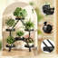 6 Tier Plant Stand