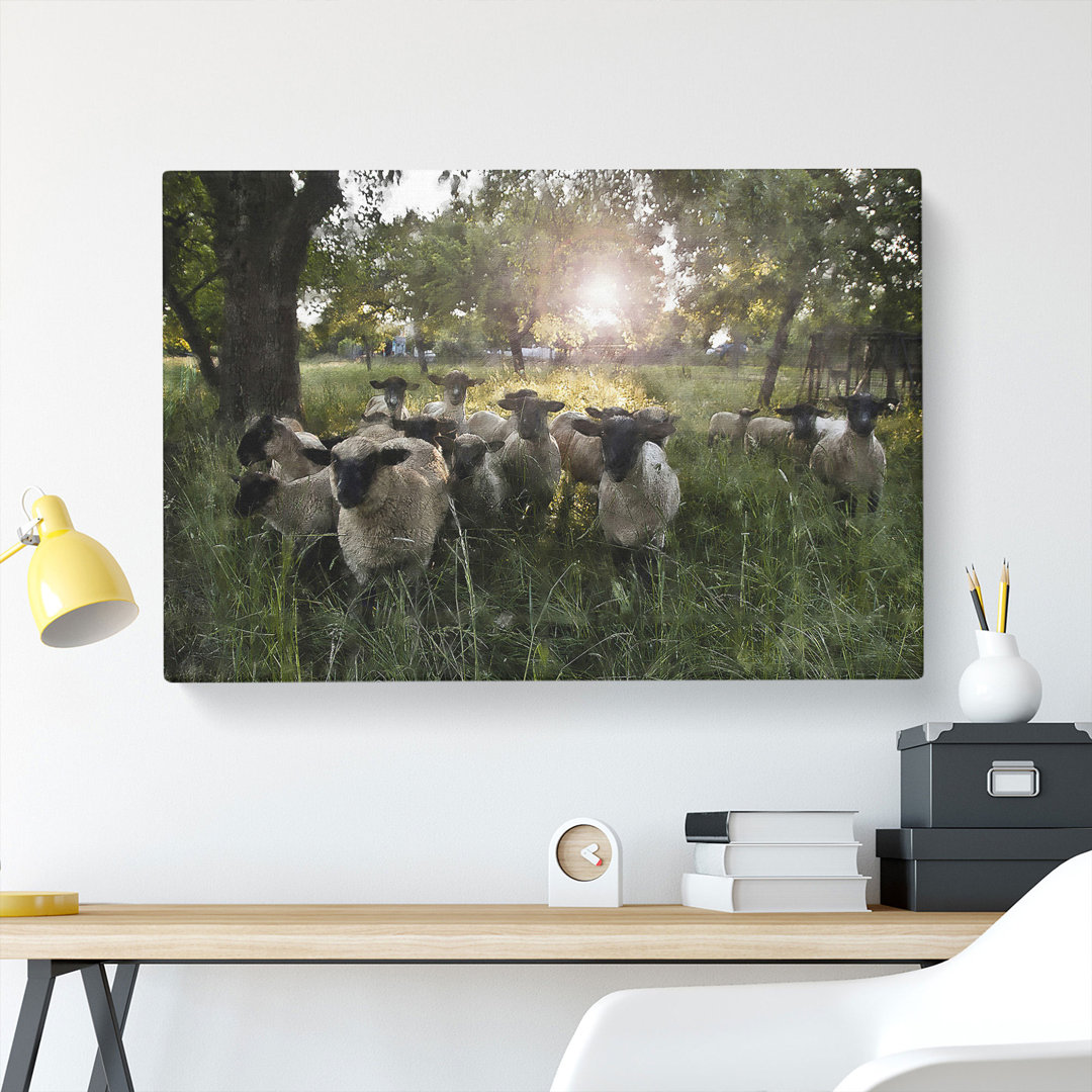 Flock Of Sheep Vol.3 - Wrapped Canvas