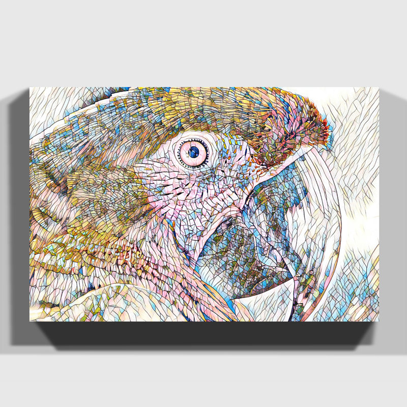Macaw Parrot Bird - Wrapped Canvas, 35cm H x 50cm W