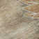 Premium Machine Washable Prisco Brown Rug