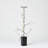 Twig C/H-22329290-22329289