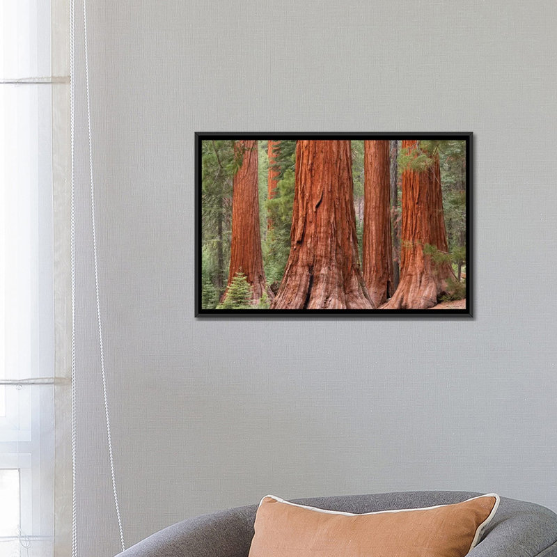Mariposa oliveraies, reproduction de photo sur toile tendue, H 18 po x l 26 po x P 1,5 po, Toile avec cadre noir