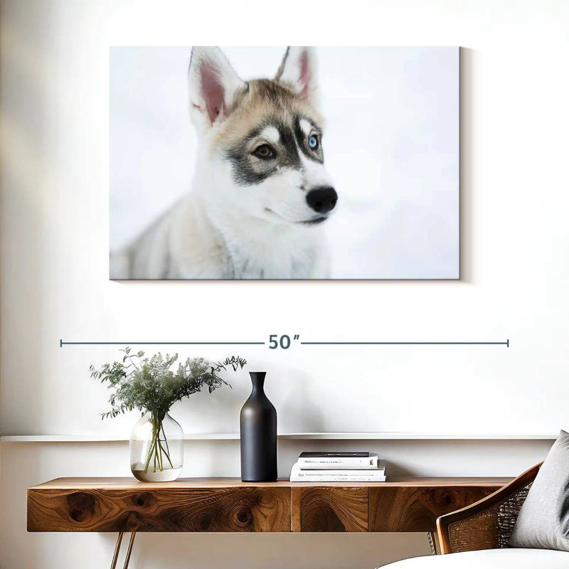 Brampt Glaring Husky, 26" H x 39" W