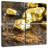 Alvord Gold Chunks-109133901