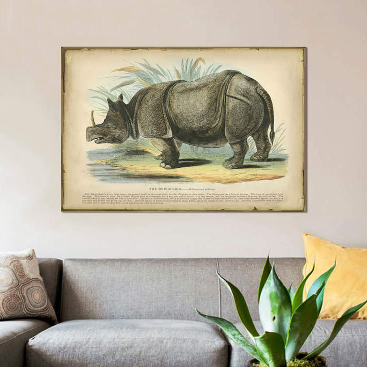 « rhino », reproduction sur toile, H 40 po x l 60 po x P 1,5 po, Pas de tapis, Toile tendue