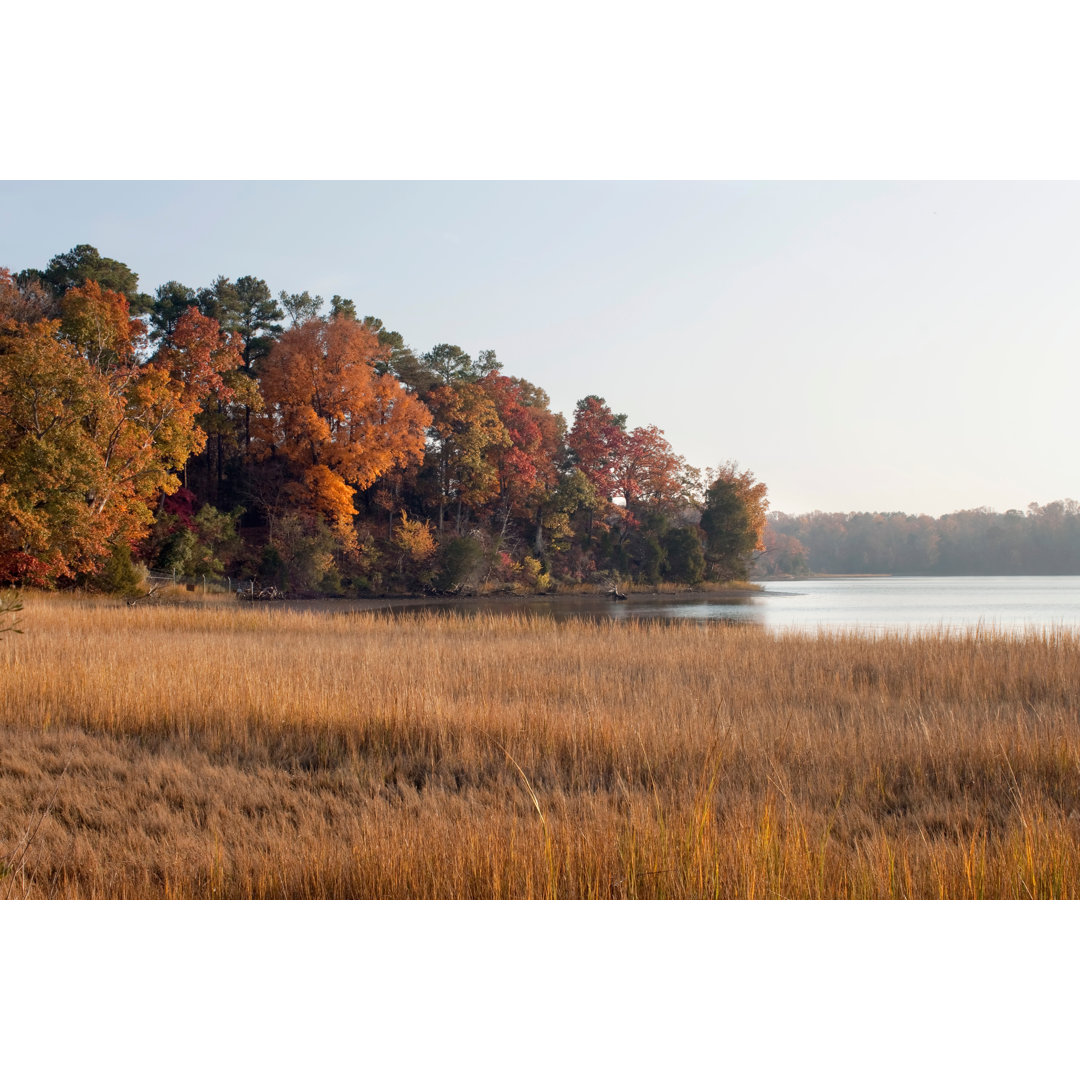 Colonial Parkway At Fall von OKRAD - Leinwandbild