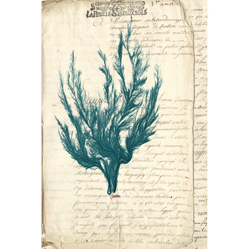 Vintage Teal Seaweed V by Vision Studio - Wrapped Canvas Painting, 122cm H x 81cm W