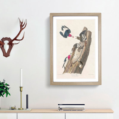 Red-Headed Woodpeckers by John James Audubon - Picture Frame Painting Print