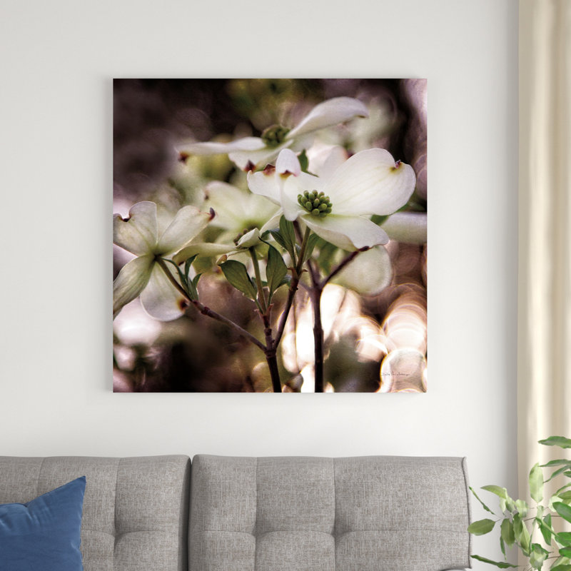 «White Dogwood II» par Debra Van Swearingen - photographie sur toile tendue, H 36 po x l 36 po
