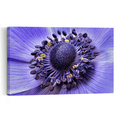 Vibrant Purple Anemone Delicate Elegant Serene Lavender Violet Flower Nature Wall Art Print 1 Piece Wrapped Canvas Wall Art